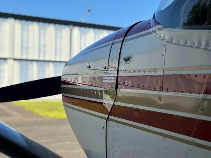 royalty-aviation-n851lw-fuselage-stripe-detail